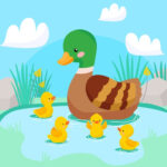 Mother ducks and ducklings puzzle